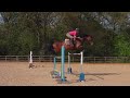 Caf Tigen Rising 9yr old bay mare German branded warmblood by Kolibri. Seen here jumping 1.50m Has lots of scope, very carefu;. Bold never stops, not spooky. Ridden in simple snaffle bridle. BSJA registered with 0 winnings so can be produced through the grades! Has experience to 1.20m in Germany. Ideal Young Riders horse, has the scope to jump the Under18/21's Lovely nature. Fantastic home required for special mare!