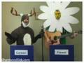 Credit/Debit Card Song