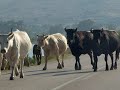 Kefalonia photos