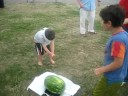 BAL Picnic 6