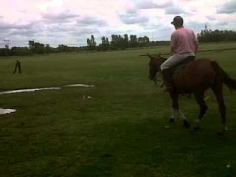 Play Polo Buenos Aires