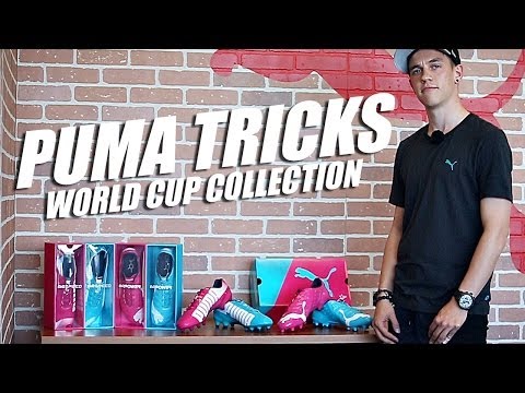 puma