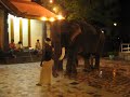Annual festival at Uttara Guruvayoorappan Temple