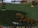 metin2 schmexy