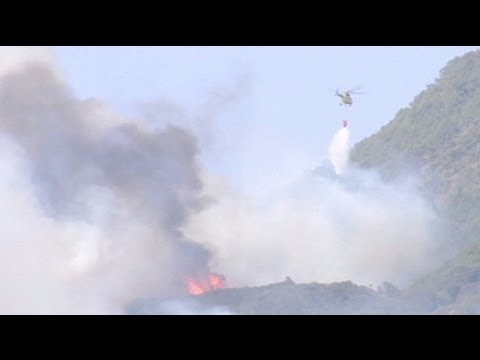 إتلاف ألاف الهكتارات من الغابات جراء الحرائق في جزيرة لا غوميرا - فيديو