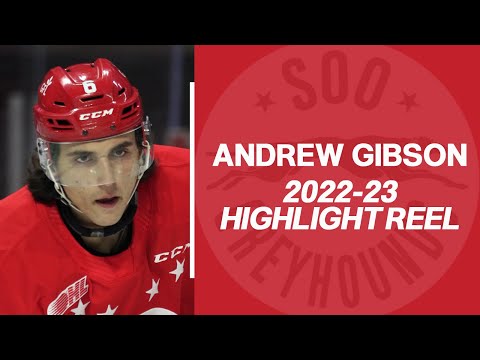 Andrew Gibson (Soo Greyhounds) - 2022-23 OHL Highlights