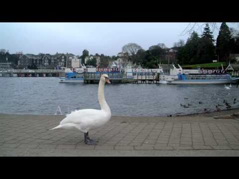 windermere - Bowness-on-Windermere situated in a spectacular lakeside setting on the eastern shore of Lake Windermere, is Cumbria's most popular destination. The town is ...