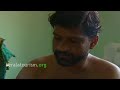 Nettipattom, Elephant caparison, Handicraft, Kerala