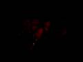 Clip Amparanoia En La Ciudad
