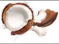 videos de Coconut Song