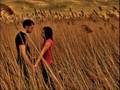 Tommy Reeve I'm Sorry Official Music Video and Lyrics