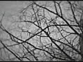 XIU XIU - I Broke Up - unofficial videoclip