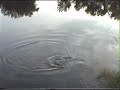 JJ Cabanes Fishing 11 - Big and beautiful carp-Carp fishing