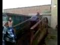 Dumpster Olympics 6.3g2
