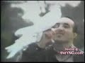 Bloopers - Birds Attacking People Bloopers - Birds Attacking People