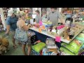 Click here to watch this video Grace Persona