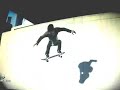 jeux video skate