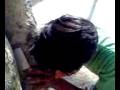 videos de zobi breaking tree.mp4