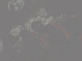 Covette-two by two Covette-two by two