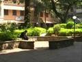 St.Xaviers Alumni 2006 welcome video