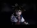 wolf heart - kingdom hearts style wolf heart - kingdom hearts style