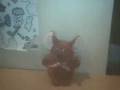 videos de The Chloe & Becca Show - Special Guest - Robert The Red Rat