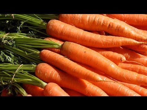 Foods Rich in Antioxidants - 5 Superfoods with Antioxidants