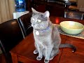 Burnsy is older but still likes to complain. Burnsy is older but still likes to complain.