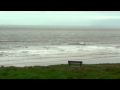 Porthcawl Surf - Video Clips