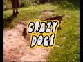 Trhači z Krupky Crazy Dogs