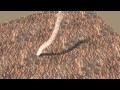 Storm Chaser on Mars