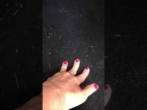 Jeep - Car leak under carpets