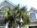 672 Colonial Drive, Indigo Run, Hilton Head Island
