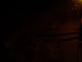 mydogAtNight.avi