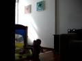 Pier devorando a camera