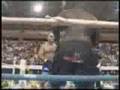 Zuluzinho vs James Adler