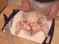 How to Fabricate a Chicken v2