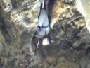 Climbing Belgium le Couloir Suspendu 7c Tim van der Sleen Climbing Belgium le Couloir Suspendu 7c Tim van der Sleen