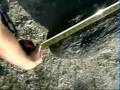 SC alligator 13'3 full movie