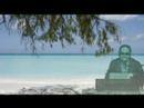 Sel Basio: By Request { Palau Music }