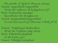 Crazy Indian Music - Kalluri Vaanil: Lyrics & Translation