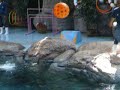 Khorat Zoo