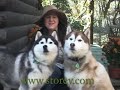 Made From Scratch By Jenna Woginrich-Storey Publishing