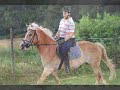 Isa mijn lieve haffie hou van je