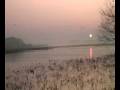 videos de Wild Geese