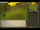 how to hunt salamanders on runescape!