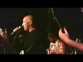 THE MIDTONES - for you girl