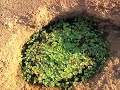 Aboriginal Rock Wells in Australia