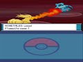 Elite Four Member Will Revisited