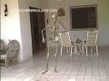 Olha A Barriguinha Olha A Barriguinha